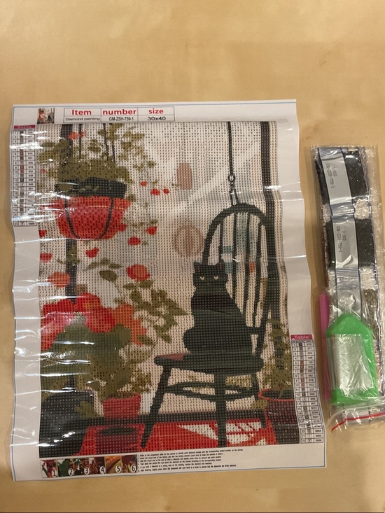 Other - Black Cat on Chair Diamond Art Painting Canvas with Red Floral Accents NIB 30x40